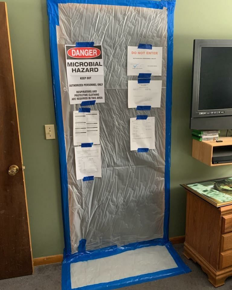 mold remediation